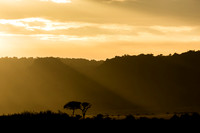 East Africa 2013