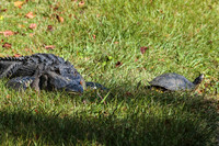 20151115_142421_2530_zf