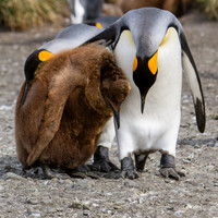 A Moment Together