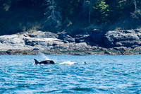 20140702_120026_1893_zf
