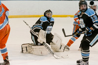 20140316_200005_9245_zf