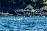 20140702_120032_1903_zf