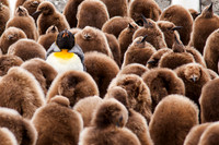 Standing Out